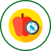 Lyme Diet & Lifestyle