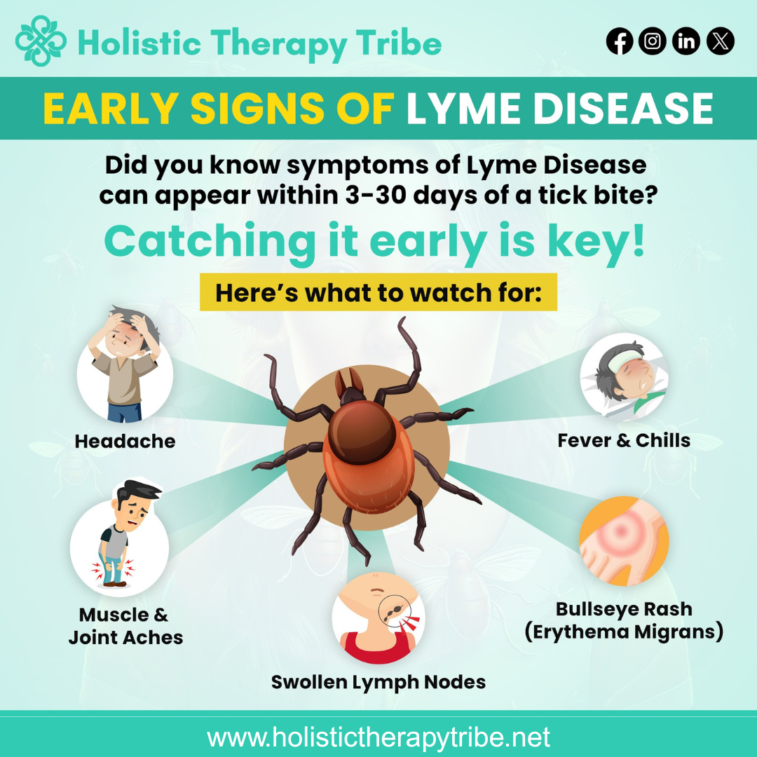 Early Signs of Lyme Disease