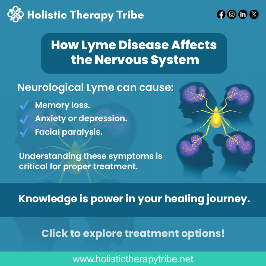 How Lyme Disease Affects the Nervous System