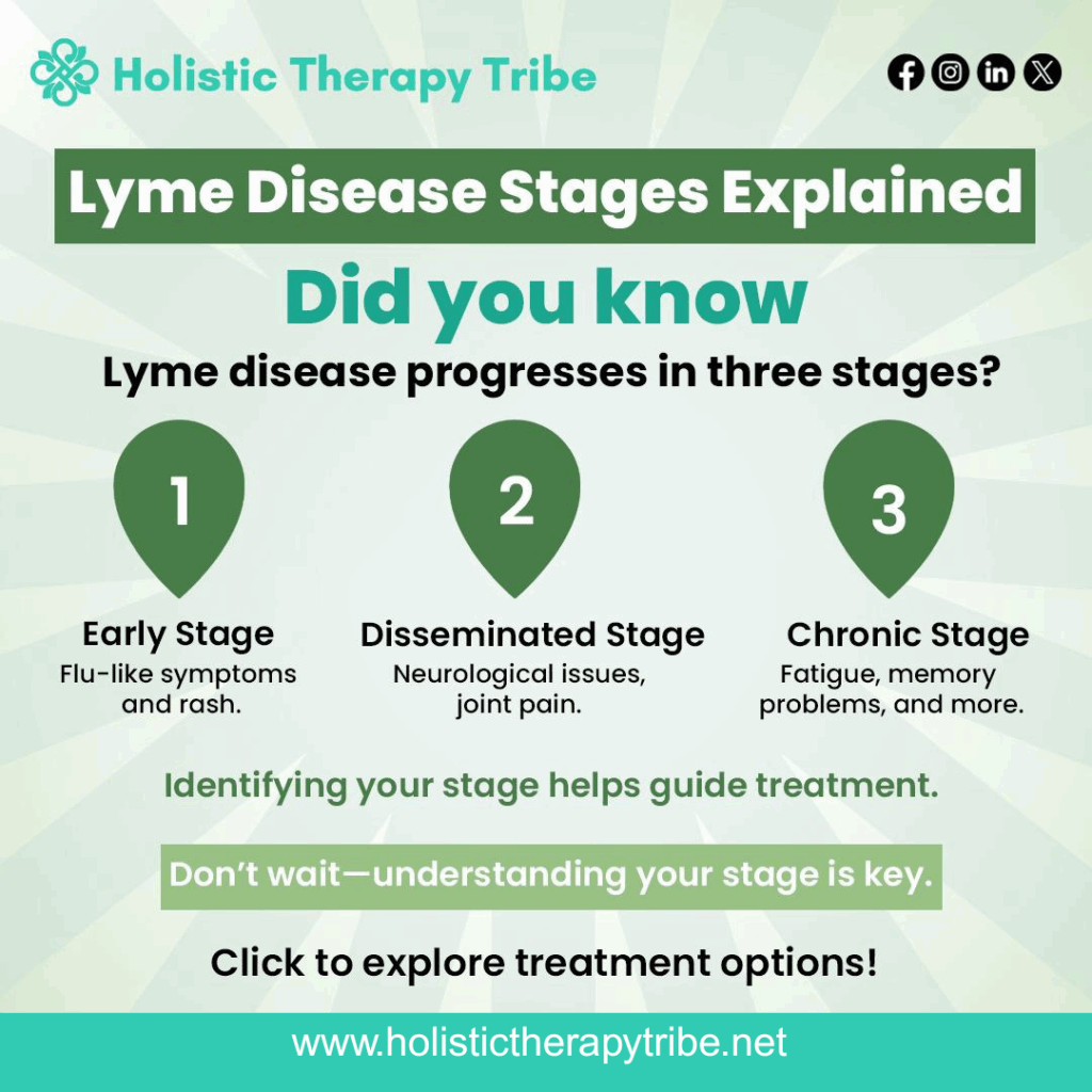 Lyme Disease Stages