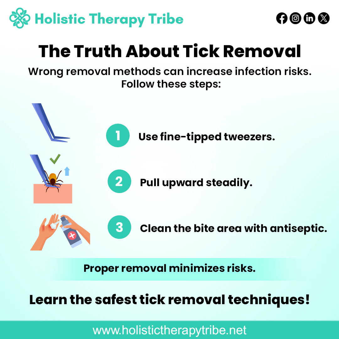 Tick removal in preventing Lyme’s disease (1) Tick removal in preventing Lyme’s disease