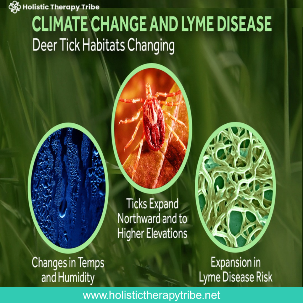 Climate change and Lyme Disease, deer Tick Habitats changing