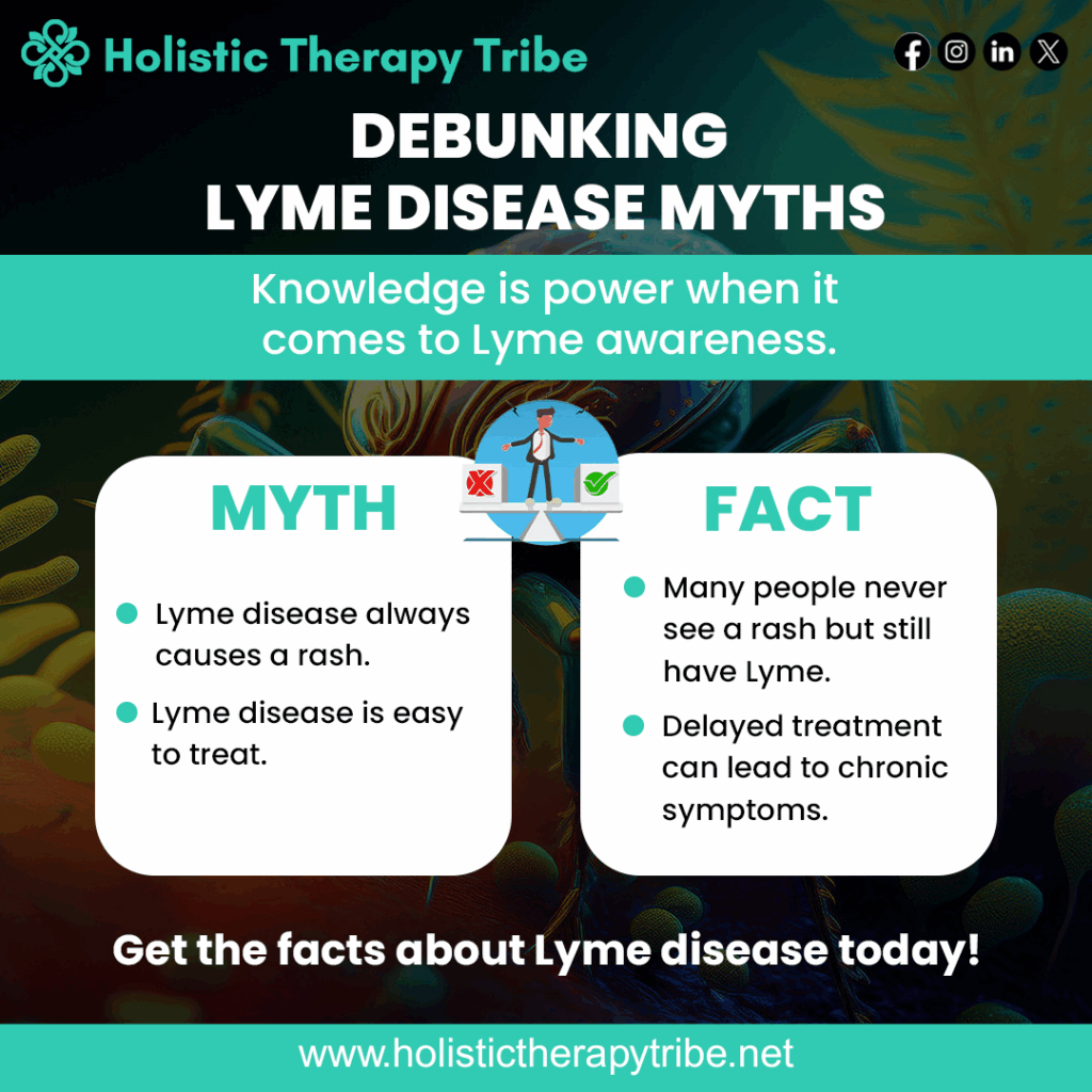 Myth and fact for Lyme Bullseye Rash appears