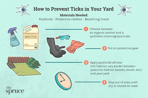 How can you make your yard tick-safe