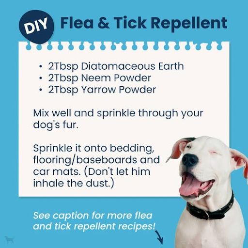 How effective are tick-prevention products for pets