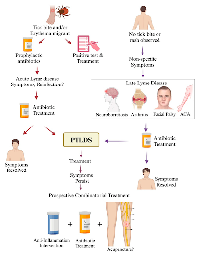 PTLDS