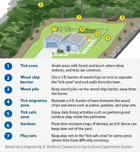 What barriers can help keep ticks out of your yard
