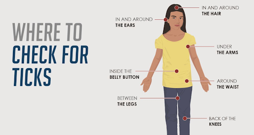 best ways to avoid tick bites