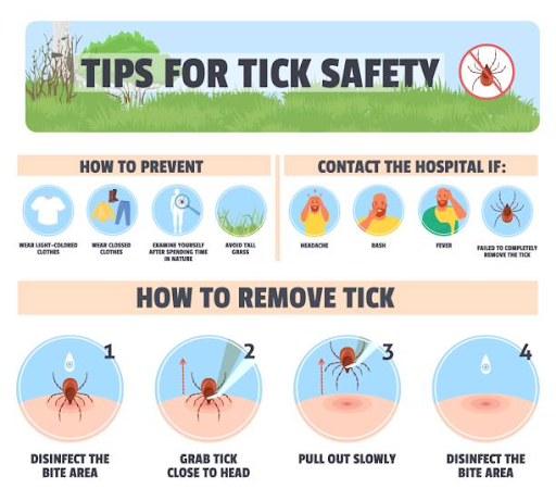 tips-for-tick-safety