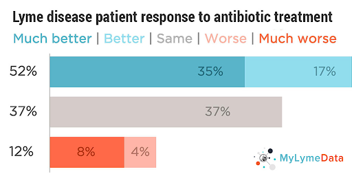 Antibiotic Therapy for Lyme Disease