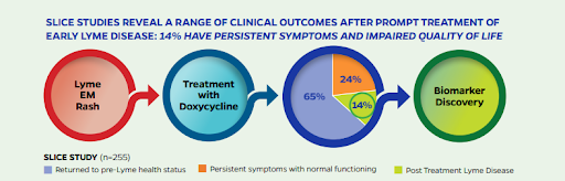Antibiotic Therapy for Lyme