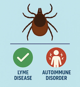 Can Lyme Disease Cause Autoimmune Disorders