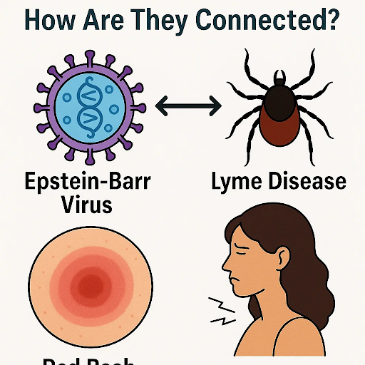 Epstein-Barr and Lyme Disease