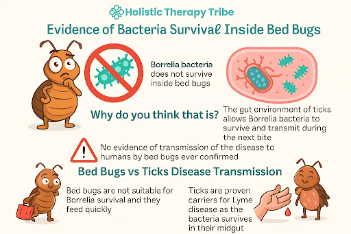 Evidence of Bacteria Survival Inside Bed Bugs