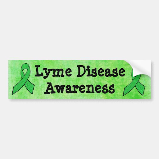 Lyme Disease Awareness