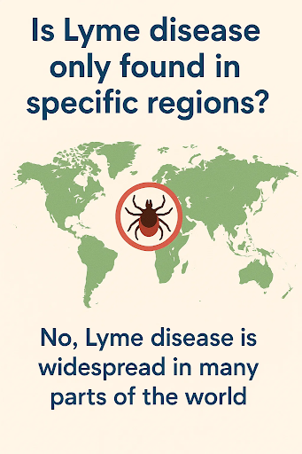 Lyme Disease and the Truth Behind Them