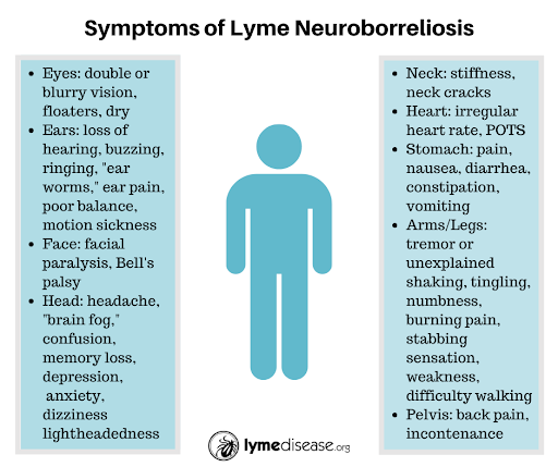 neurological symptoms of Lyme disease