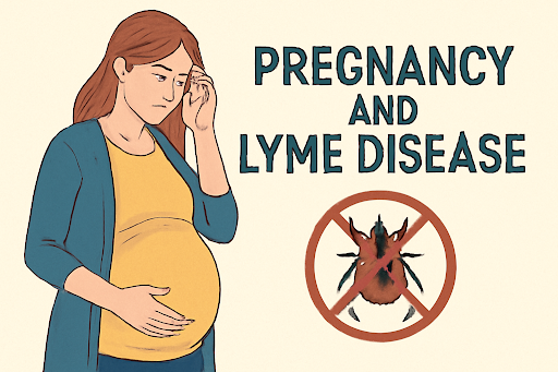 Pregnancy and Lyme Disease: Risks and Care