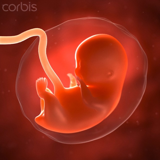 Recognizing Congenital Lyme Disease Symptoms in Your Child: What Every Parent Should Know