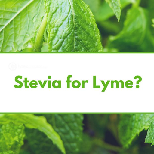 Stevia and Lyme Disease: Could This Natural Sweetener Be the Hidden Ally in Your Healing Journey?