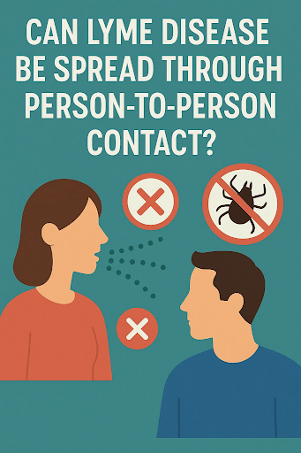 Top Myths About Lyme Diseased Them
