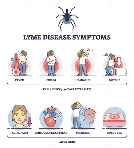 early-detection-of-lyme-illnes