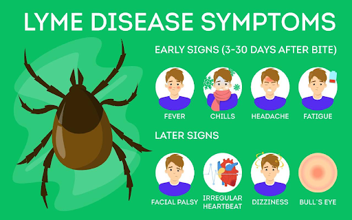 initial-symptoms-of-lyme
