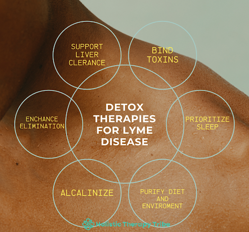 lyme-disease-detox-therapies