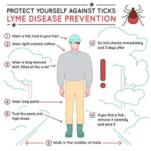 lyme-disease-prevention