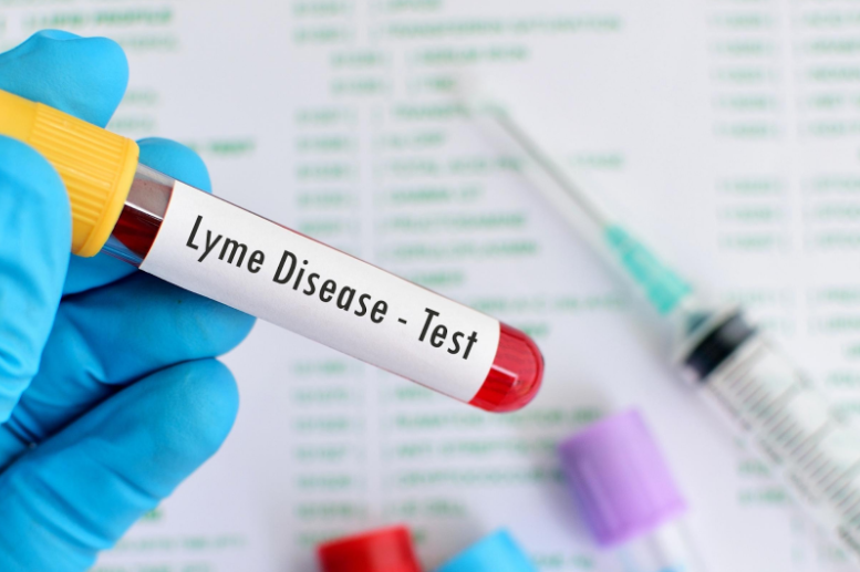 Accuracy of Lyme Disease