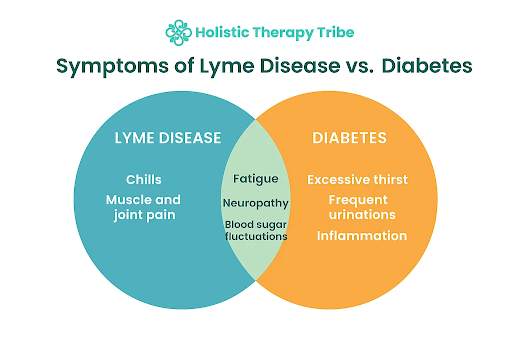 symptoms-of-lyme-disease-and-diabetes