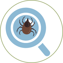 tick-check