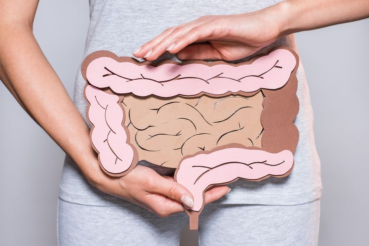 Lyme disease and GI symptoms affecting digestion and stomach health